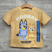 NEW Character Shirt Hooray & Shorts 2t