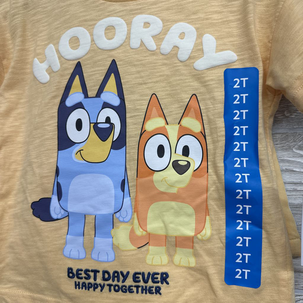 NEW Character Shirt Hooray & Shorts 2t
