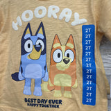 NEW Character Shirt Hooray & Shorts 2t