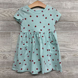 Dress Lady Bugs 3T