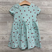 Dress Lady Bugs 3T