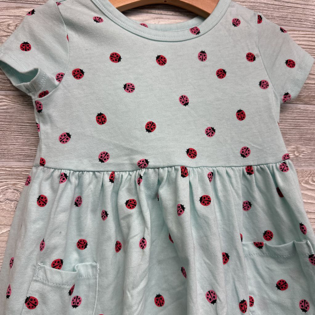 Dress Lady Bugs 3T