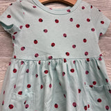Dress Lady Bugs 3T