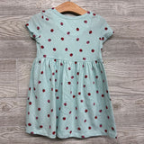 Dress Lady Bugs 3T