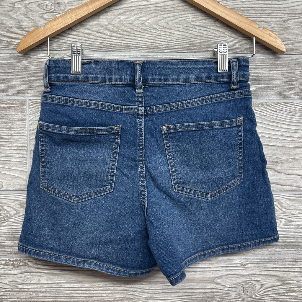 Denim Shorts Flowers 12