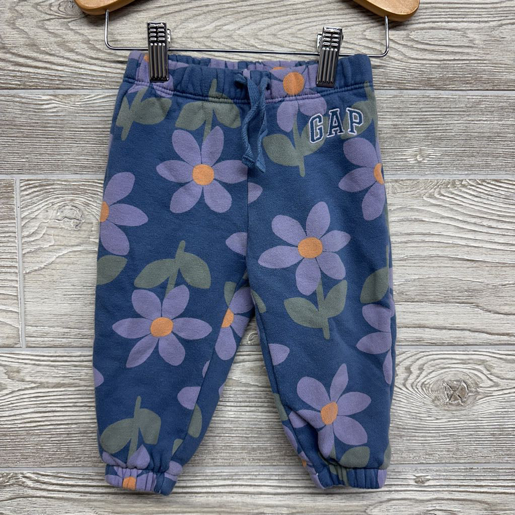 Hoodie & Jogger Sweatpants Flowers 12-18M *
