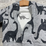 LS Bodysuit Little Stomper, Full Zip Hoodie & French Terry Joggers Dinosaurs 3M