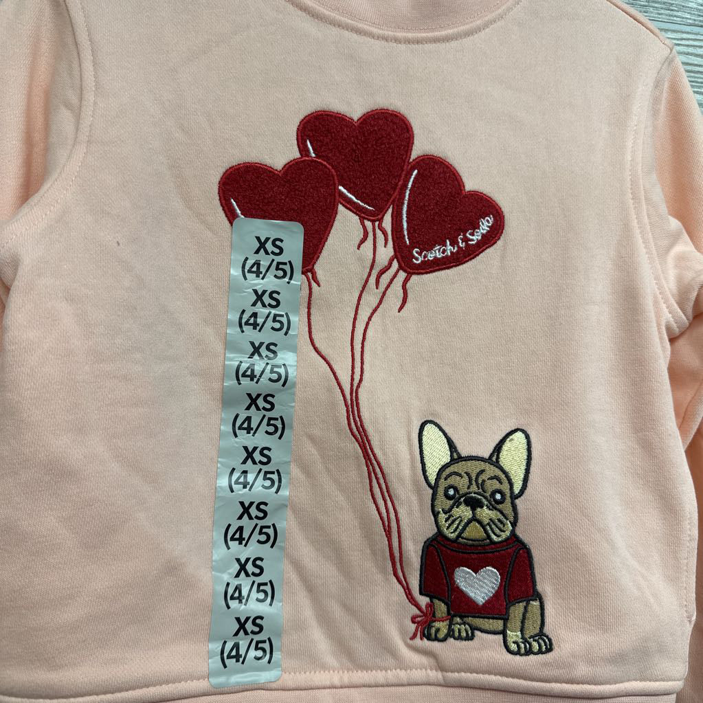NEW Crewneck Heart Balloons Dog 4-5