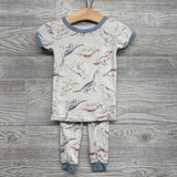 2 Pc Bamboo Pj Dinosaurs 12M