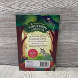 Usborne Tanglewood Animal Park Baby Zebra Rescue
