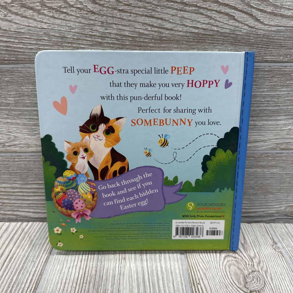 Somebunny Loves You Board Book