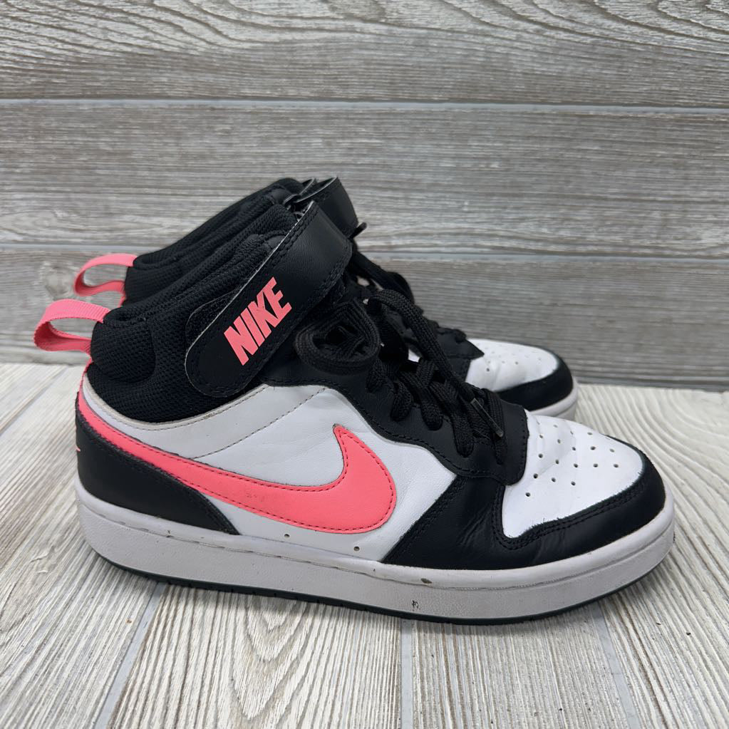 Court Borough Mid 5.5y