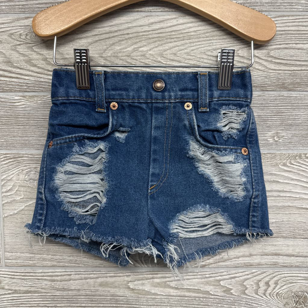 Distressed Denim Shorts Frayed 4T