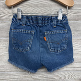 Distressed Denim Shorts Frayed 4T