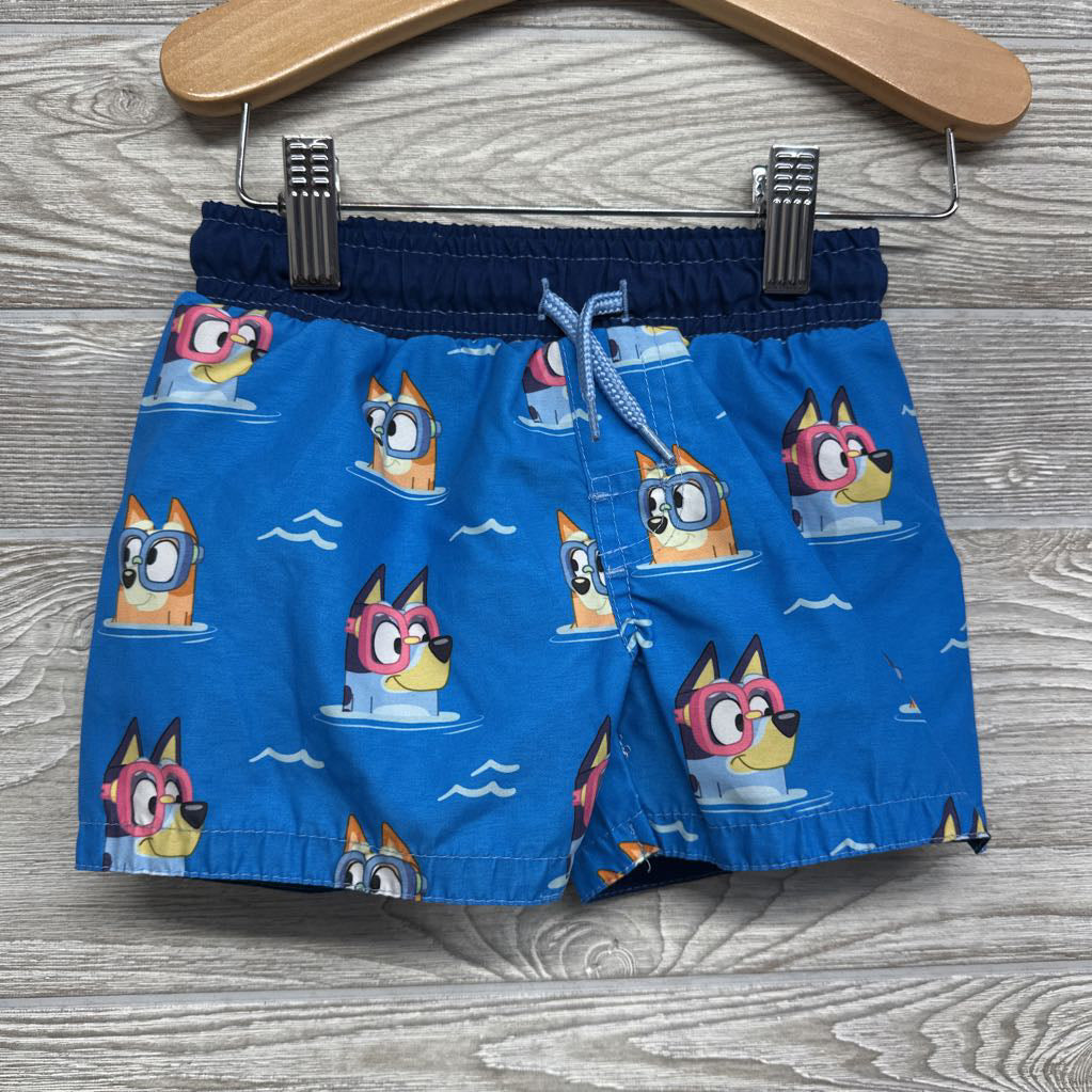 Swim Shirt & Trunks 2t