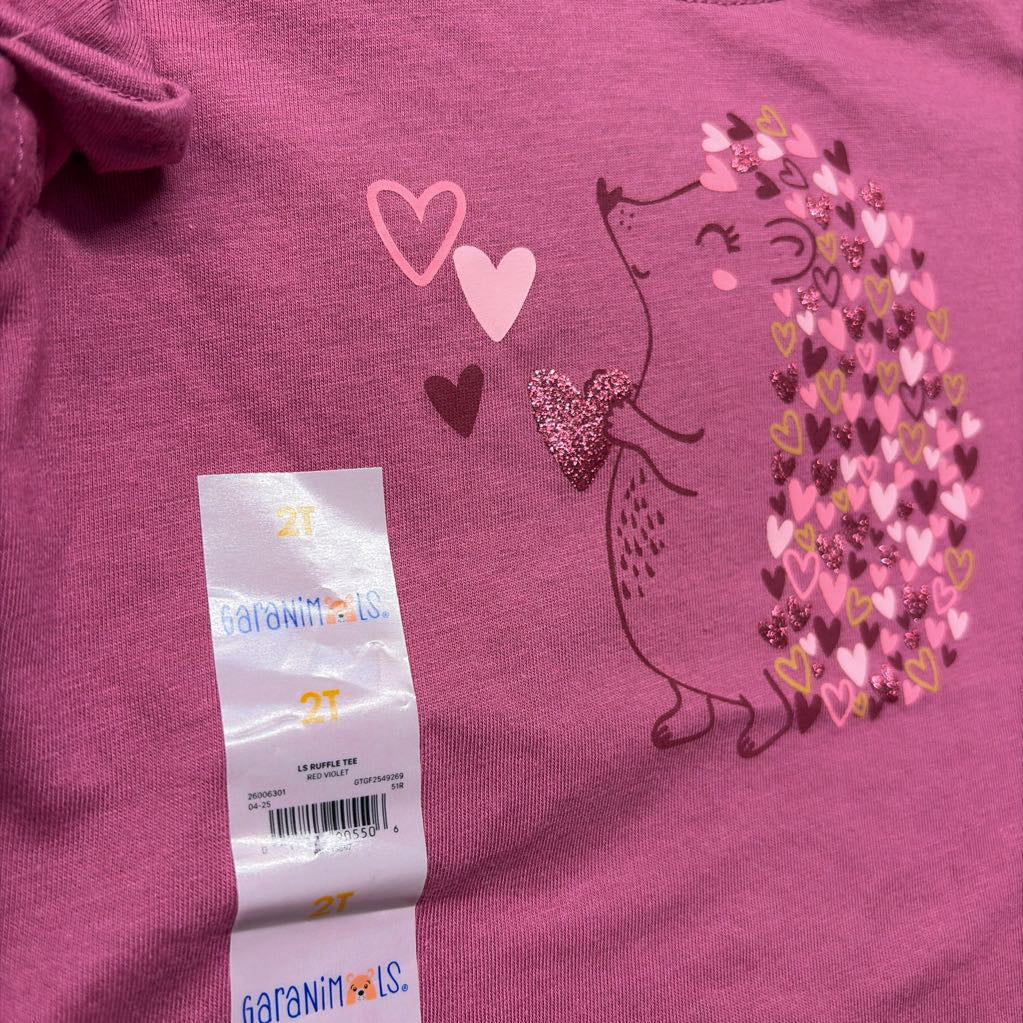NEW LS Shirt Ruffles Hedgehog 2t