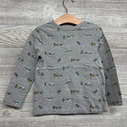 LS Shirt Mountains 4t