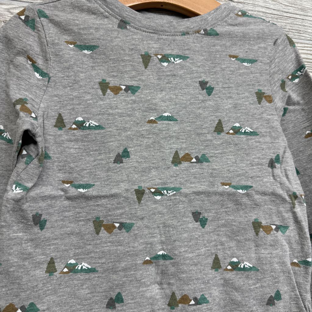 LS Shirt Mountains 4t