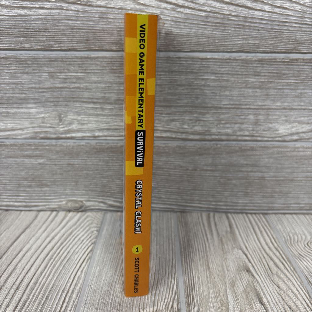 Video Game Elementary Survival Paperback Book