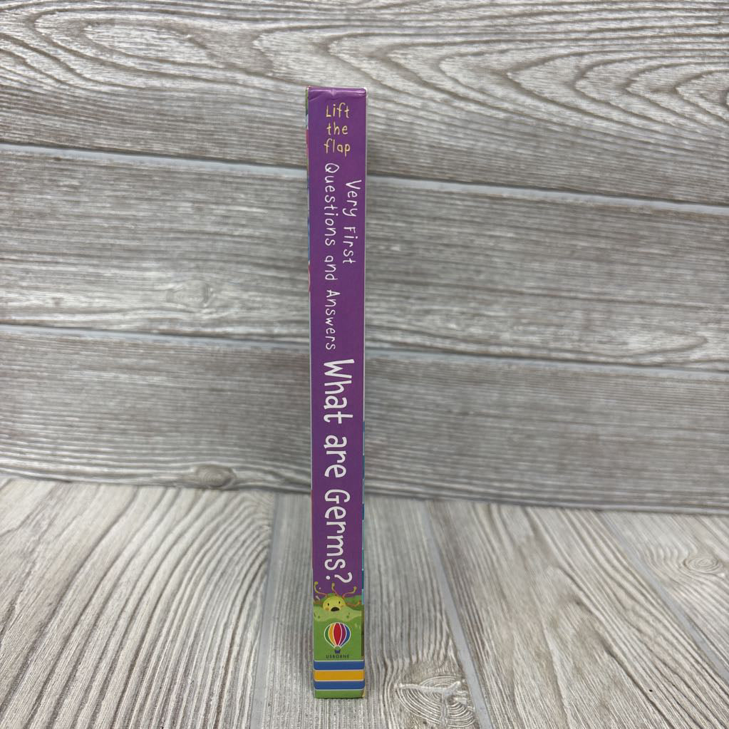 Usborne Lift-The-Flap Very First Questions And Answers What Are Germs? Board Book