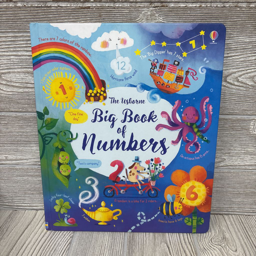 The Usborne Big Book Of Numbers Board Book