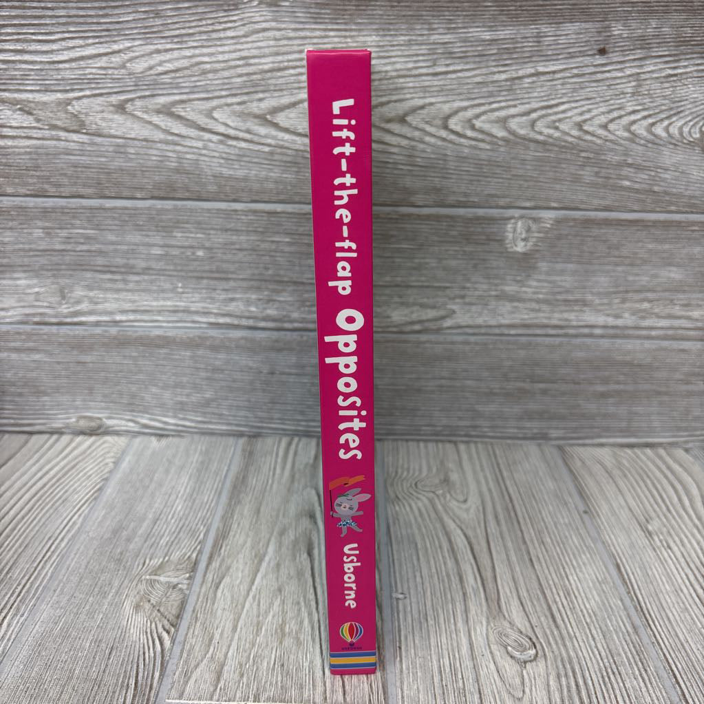 Usborne Lift-The-Flap Opposites Board Book
