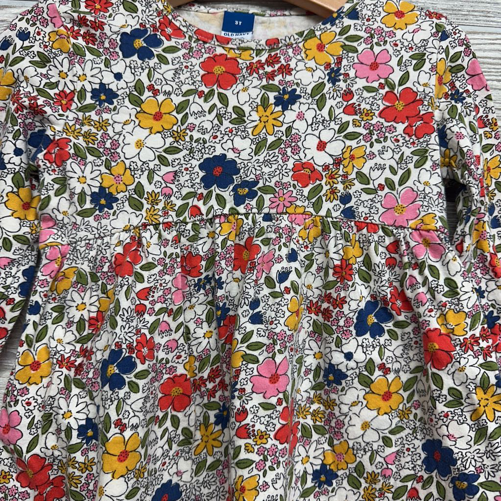 LS Dress Flowers 3T