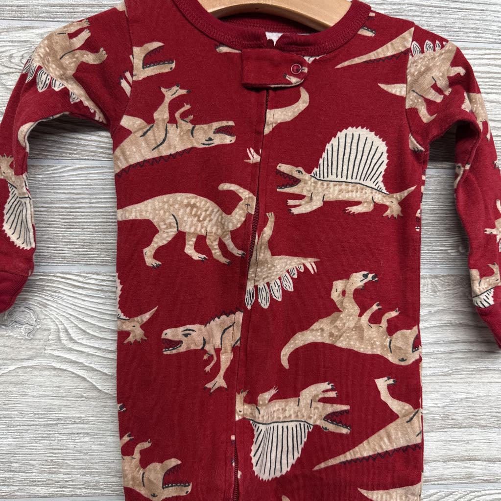 Sleeper Dinosaurs 12M
