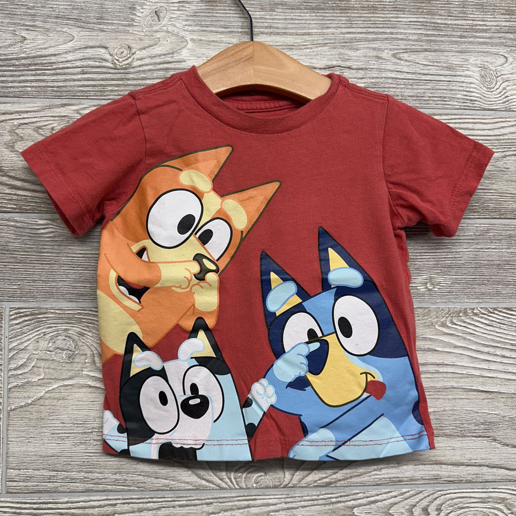 Shirt Noses 18M