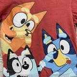 Shirt Noses 18M