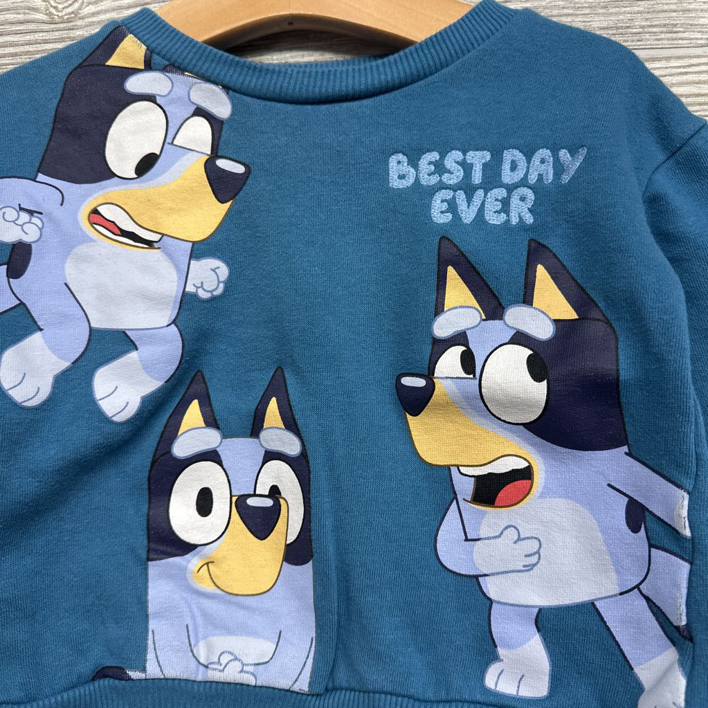 Character Crewneck 2t
