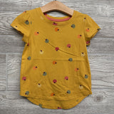 Shirt Apples 4t