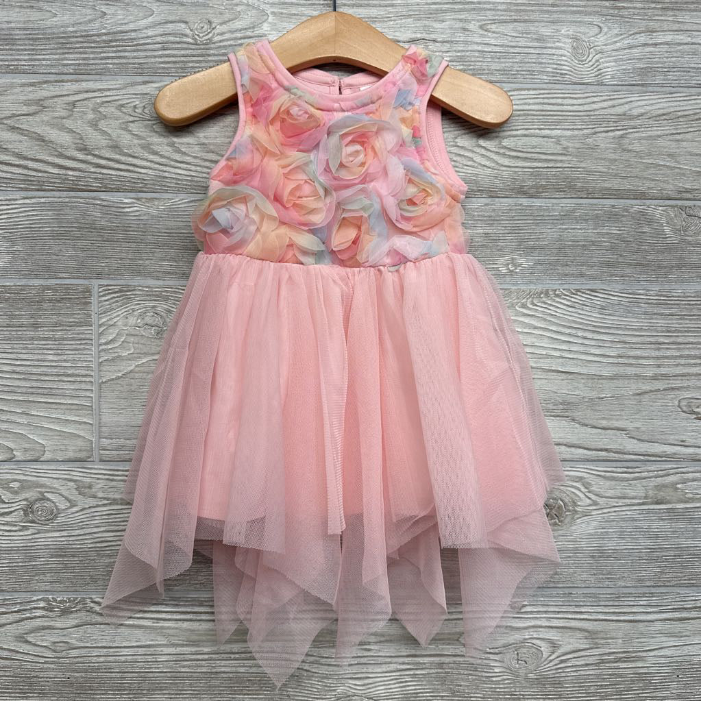 Tulle Dress Flowers 12M