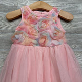 Tulle Dress Flowers 12M