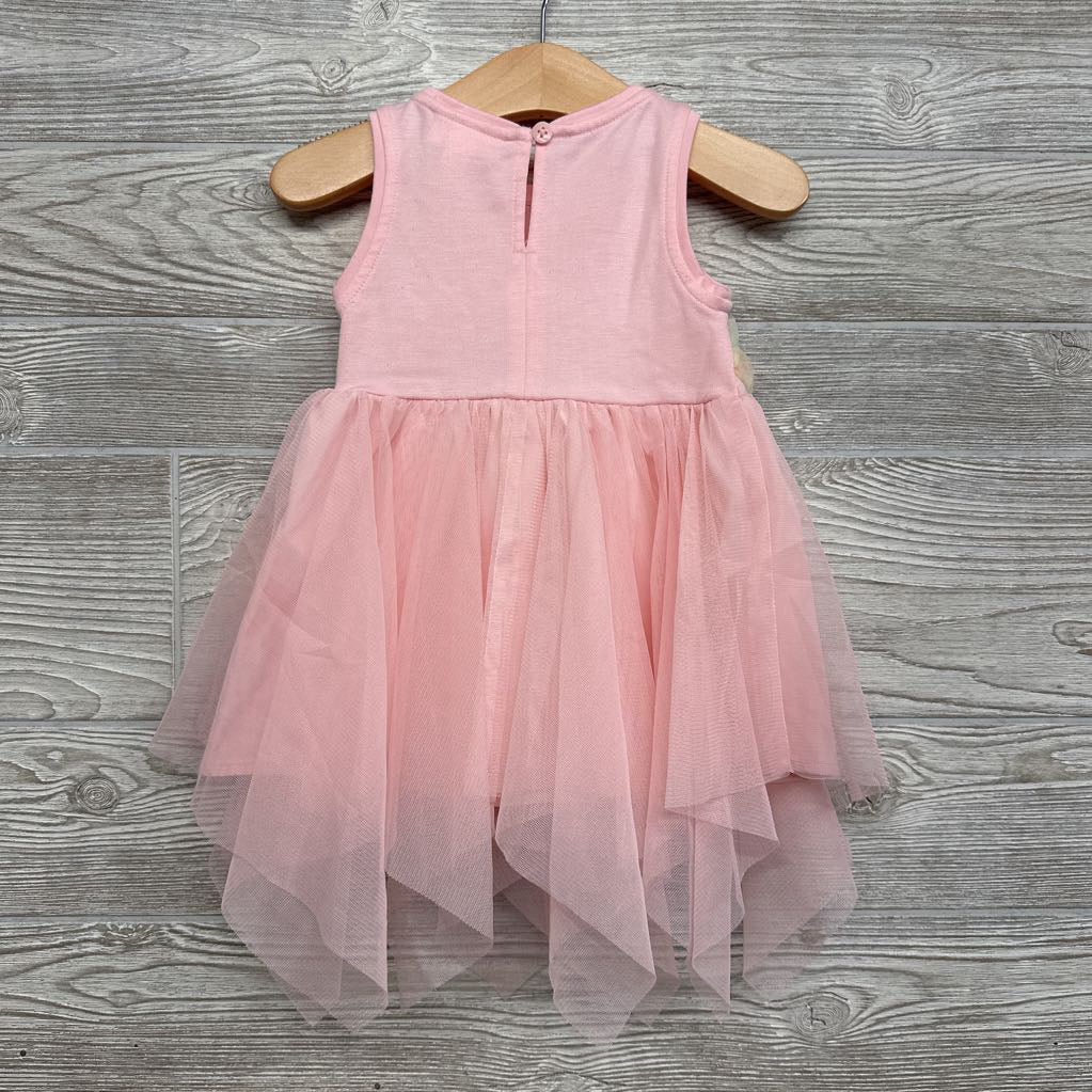 Tulle Dress Flowers 12M