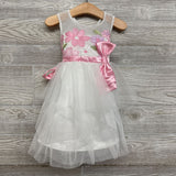 NEW Tulle Dress Embroidered Flowers 2t
