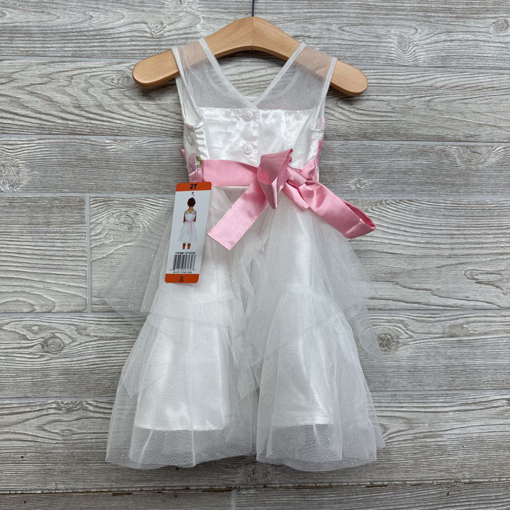 NEW Tulle Dress Embroidered Flowers 2t
