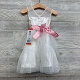 NEW Tulle Dress Embroidered Flowers 2t