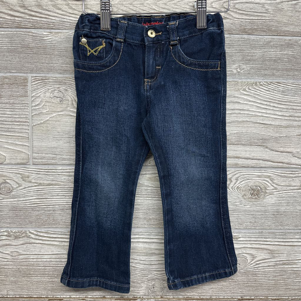 Flare Jeans Shimmer Embroidered Pockets 2T