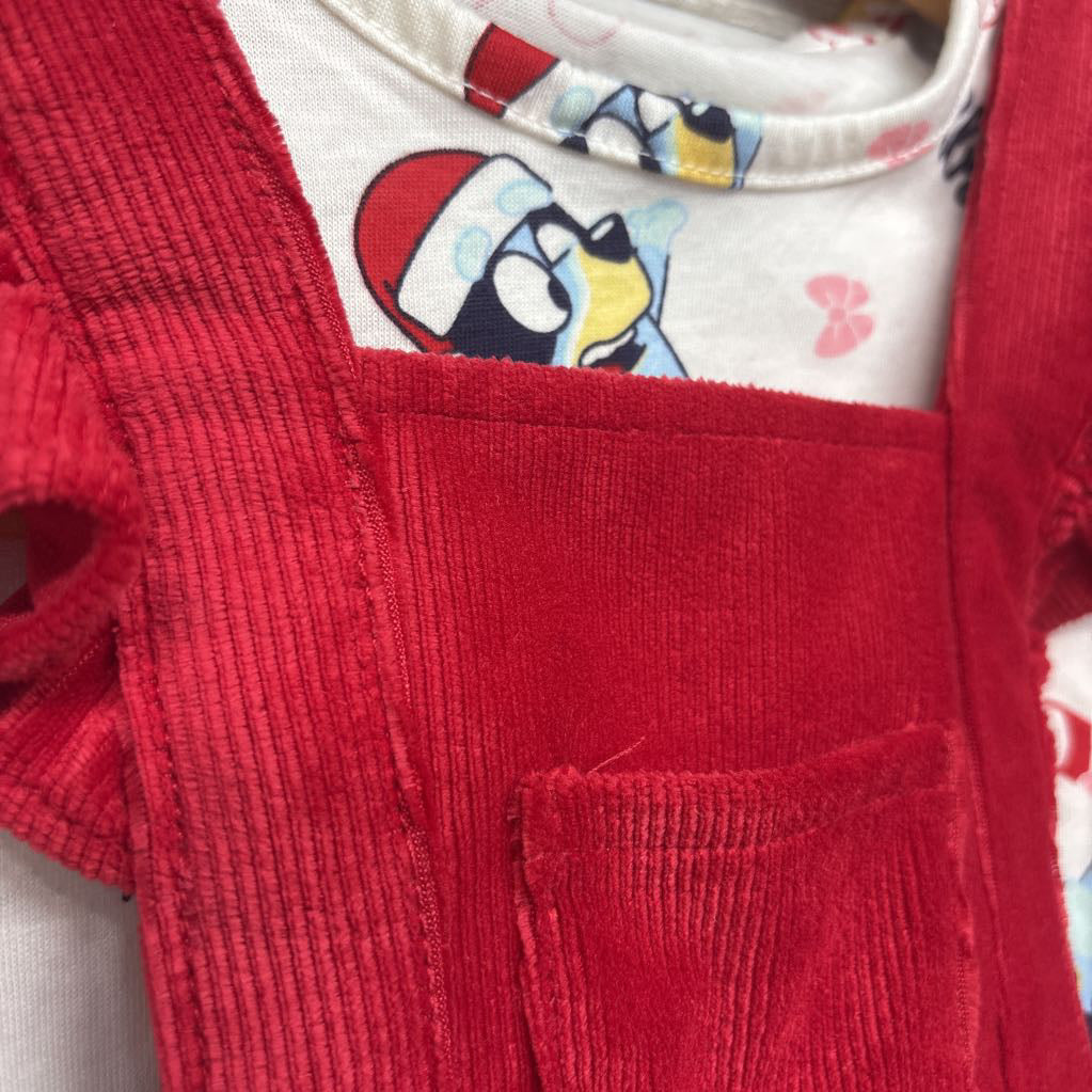 NEW Ribbed Jumper & Character LS Shirt 3t