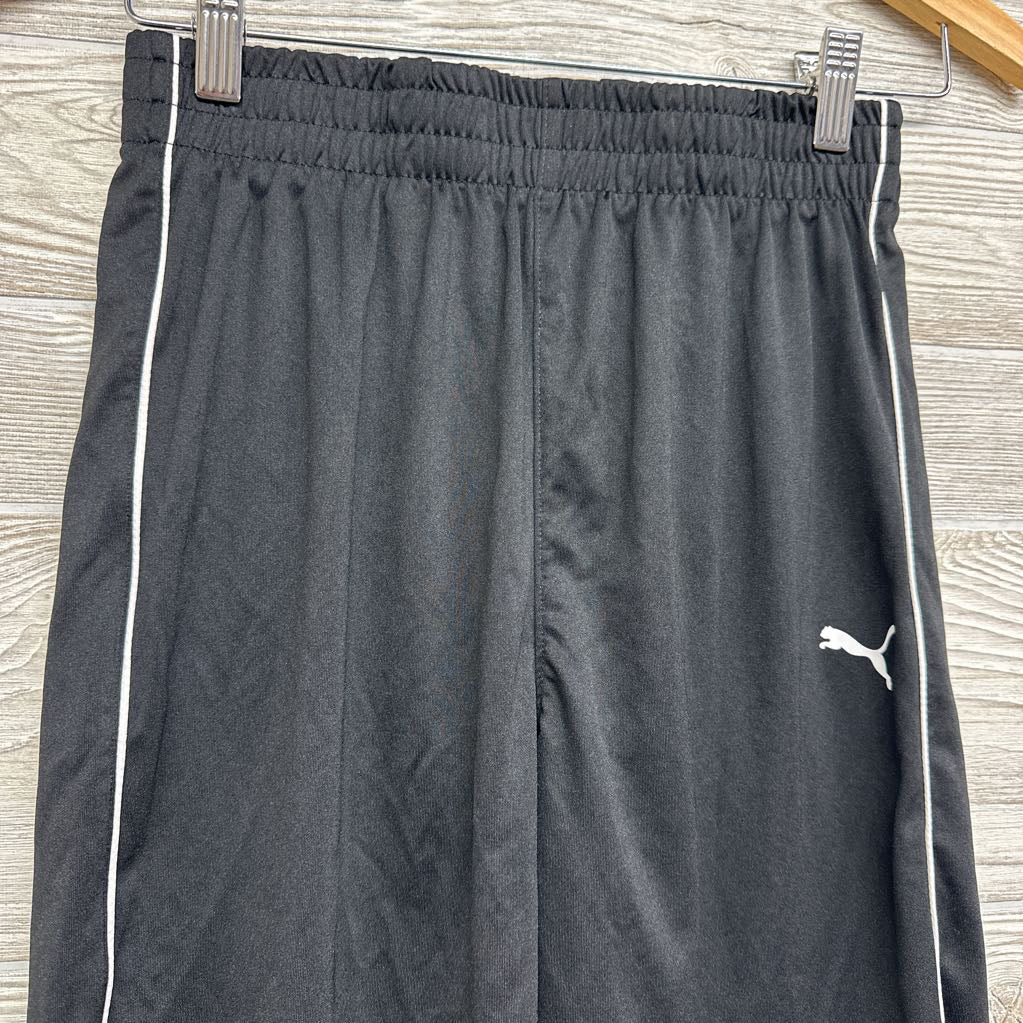 Active Shorts 14
