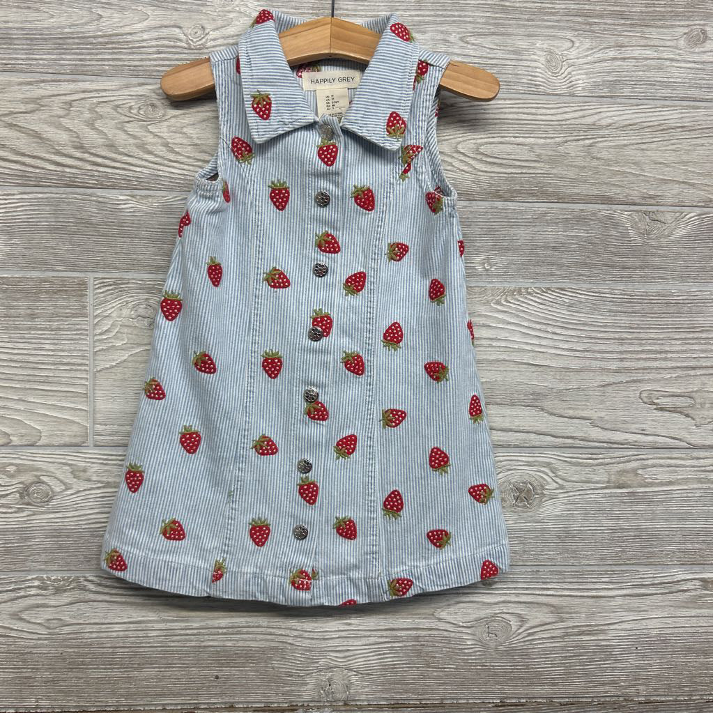 Button Up Dress Stripes Strawberries 3T