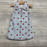 Button Up Dress Stripes Strawberries 3T