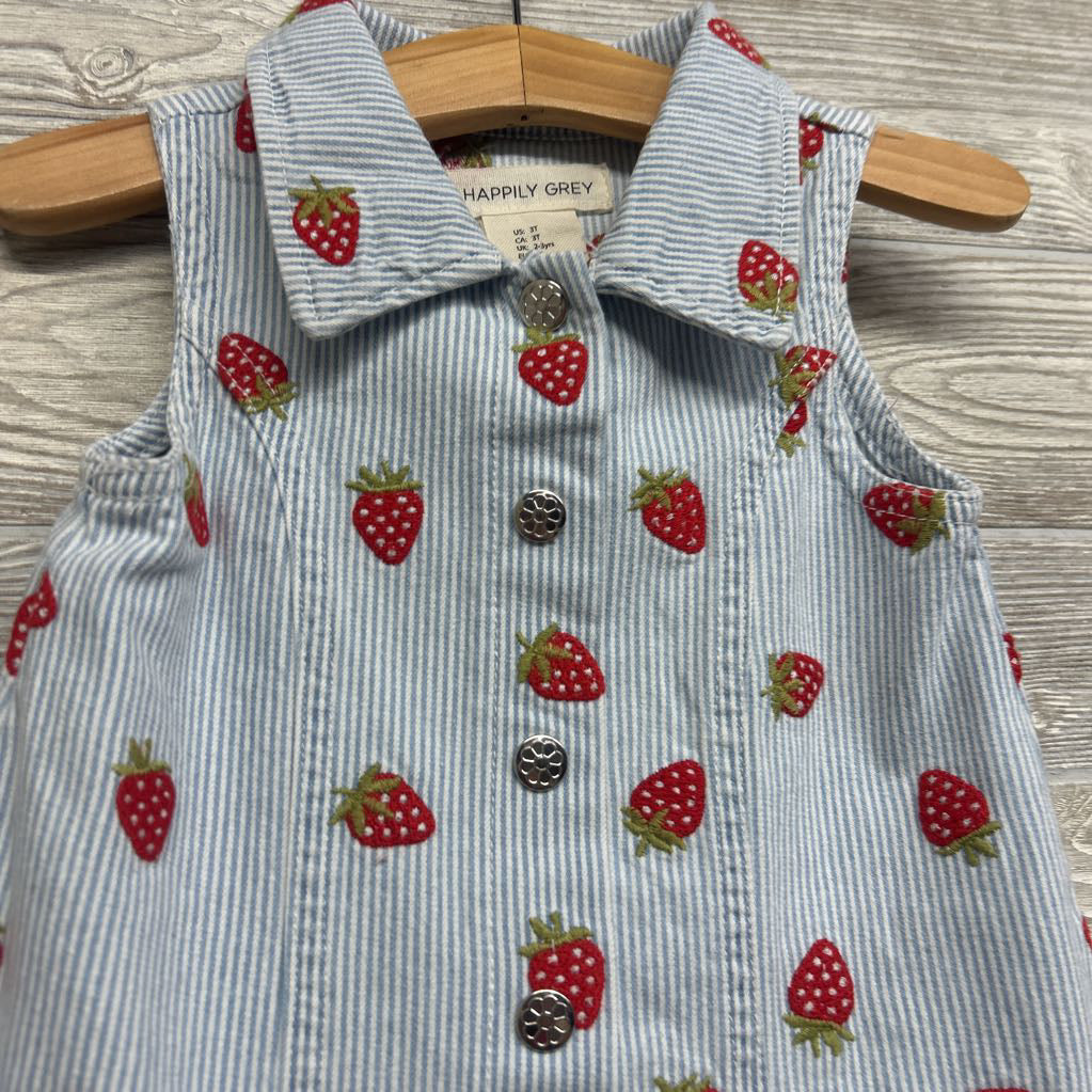 Button Up Dress Stripes Strawberries 3T