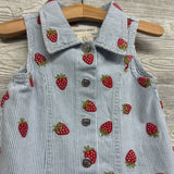Button Up Dress Stripes Strawberries 3T