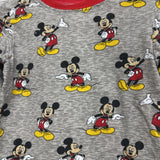 LS Shirt Mickey Mouse 5