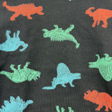 Crewneck Dinosaurs 5t