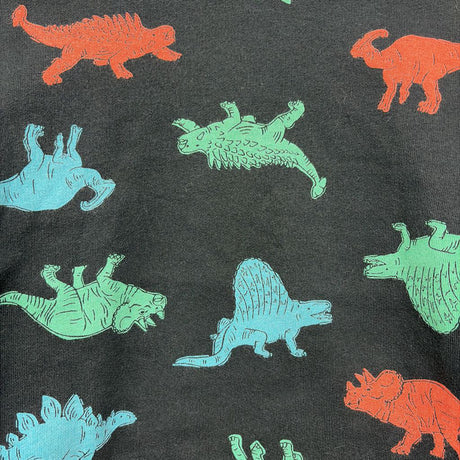 Crewneck Dinosaurs 5t