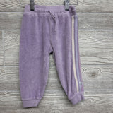 Velour Hoodie & Joggers Side Stripes 18M