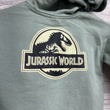 Hoodie & Jogger Sweatpants Dinsoaurs 5T